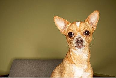 《明末：渊虚之羽》新视频 游戏售价很快会公布